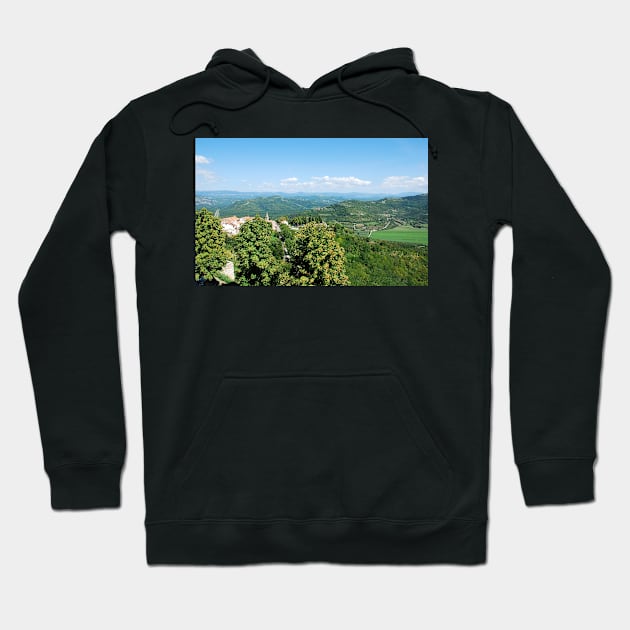 Landscape Near Motovun Hoodie by jojobob